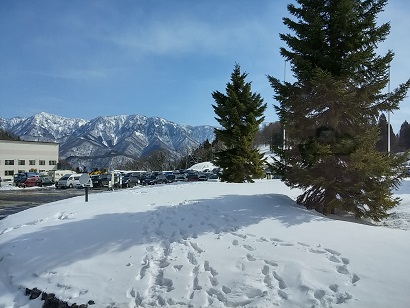 a0267370_0152660.jpg