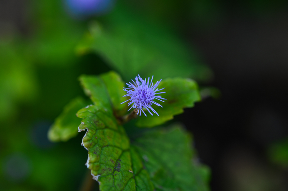 b0247073_23453171.jpg