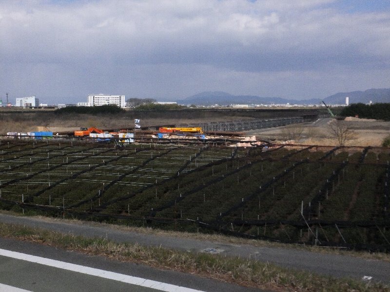 c0003475_22164953.jpg