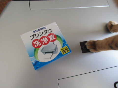 c0310987_11501808.jpg