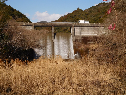 a0143296_7415056.jpg