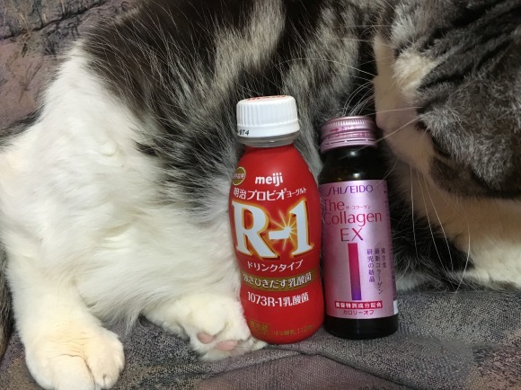 c0011300_22020195.jpeg
