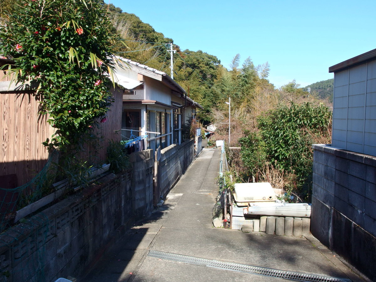 b0165802_7385246.jpg