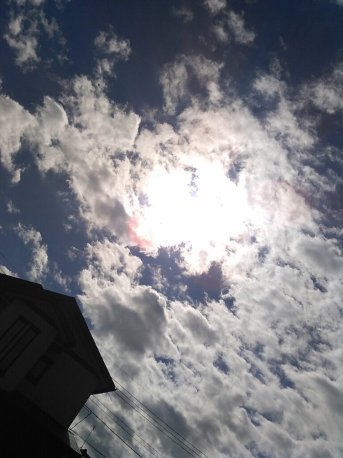 f0113108_17074539.jpg