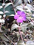 e0182926_20132752.jpg