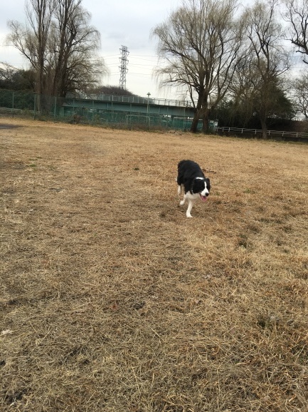 c0343734_01132753.jpg