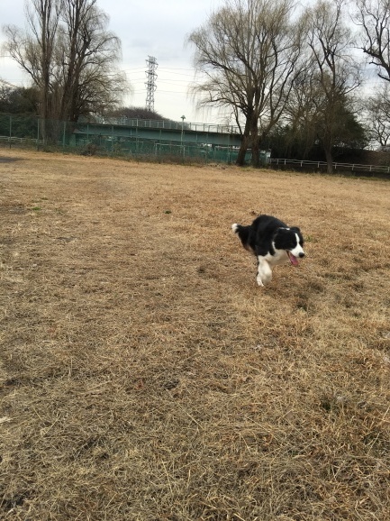c0343734_01133237.jpg