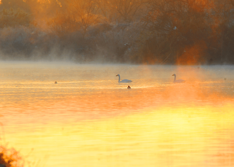 d0290240_13251567.gif