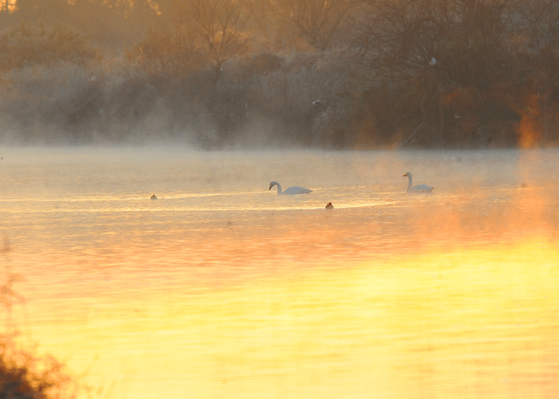 d0290240_13254415.gif