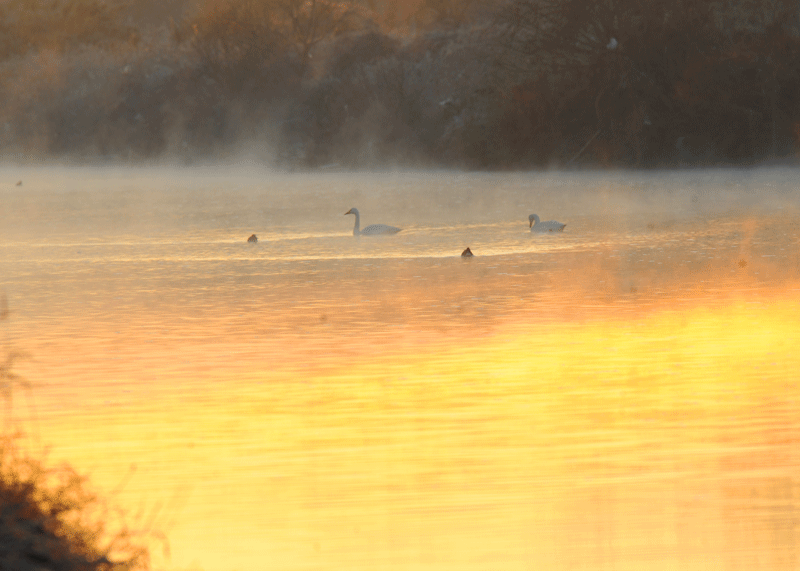 d0290240_13263085.gif