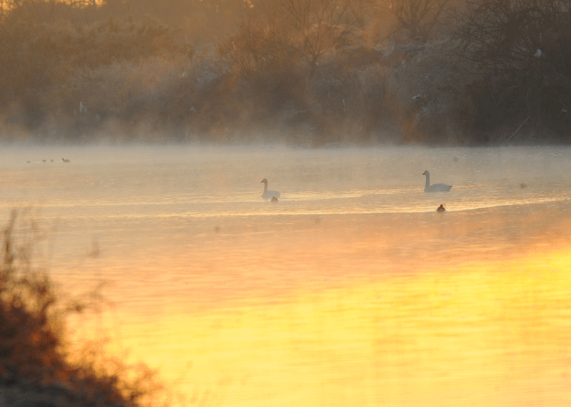 d0290240_13270308.gif