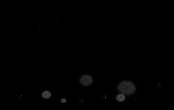 b0133752_23555274.gif