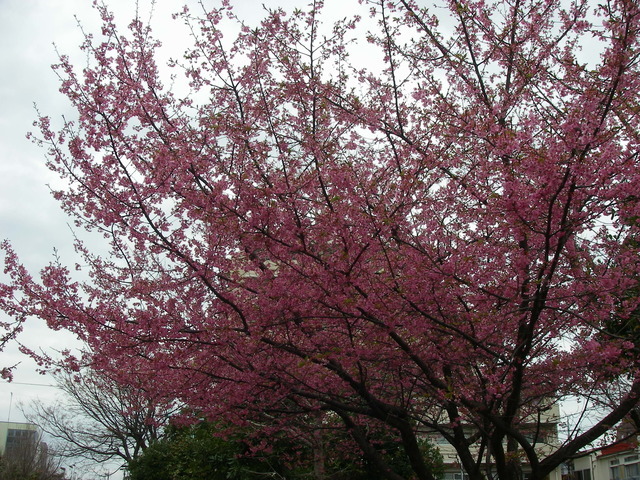 a0074069_22252590.jpg