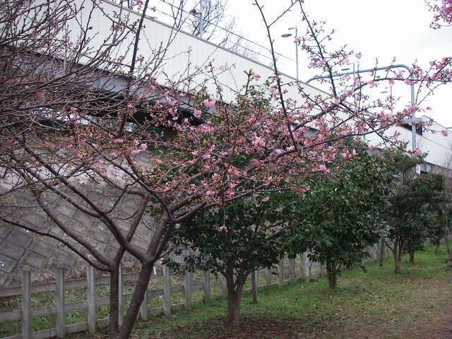 a0074069_22255510.jpg