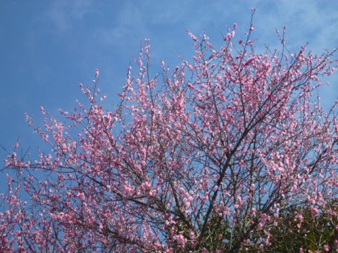e0161972_2104463.jpg