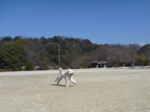 e0161972_2121935.jpg