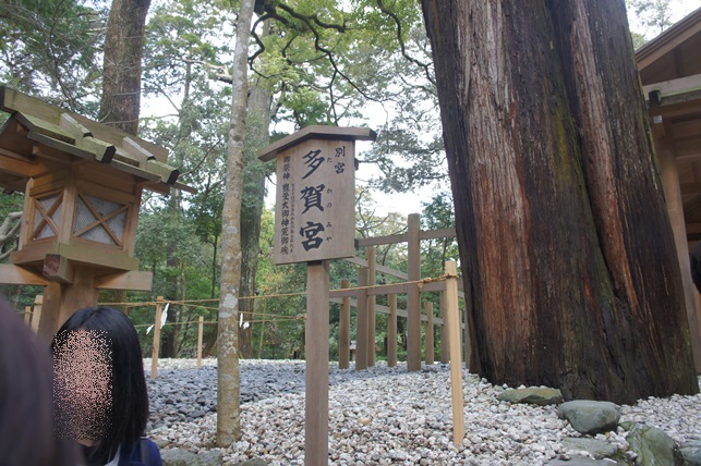 c0163878_1003860.jpg