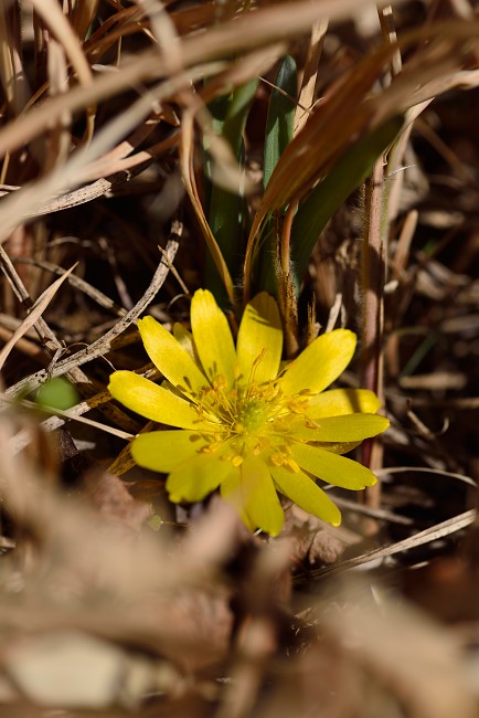 d0341880_7253171.jpg