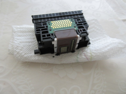 c0310987_10272889.jpg