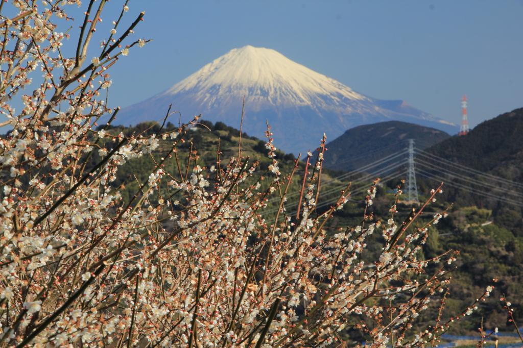 a0188405_07451383.jpg