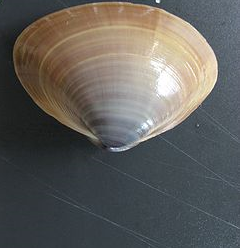 b0309623_16152444.png