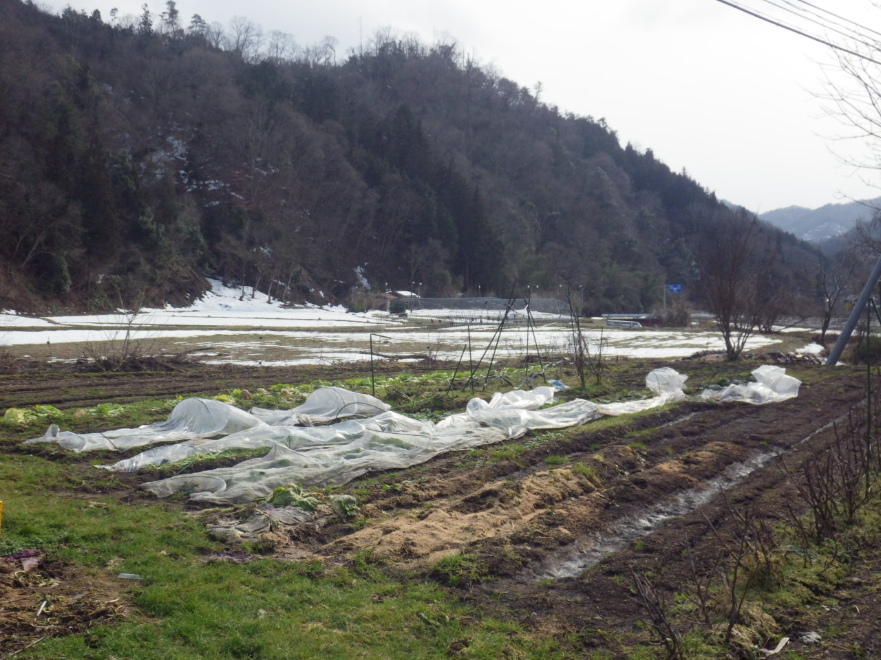 c0300035_17491695.jpg