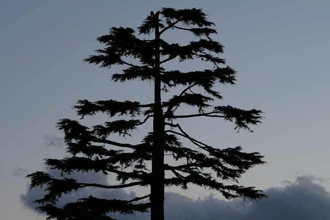 c0193136_22514881.jpg