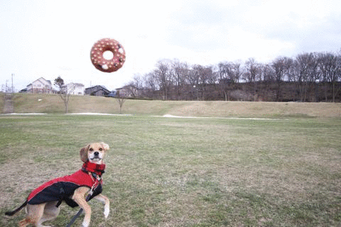 b0031538_22592882.gif