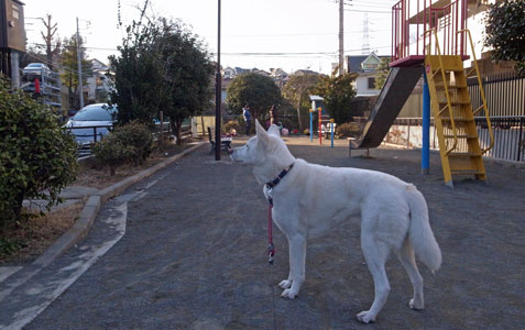 a0117039_2241261.jpg