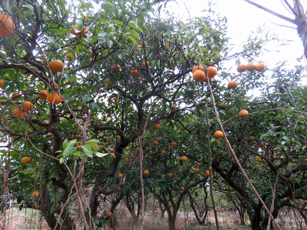 f0214649_12284994.jpg