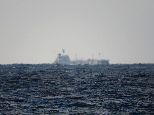 f0214649_1426359.jpg