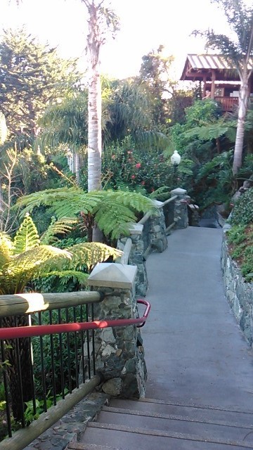 c0355451_11441710.jpg