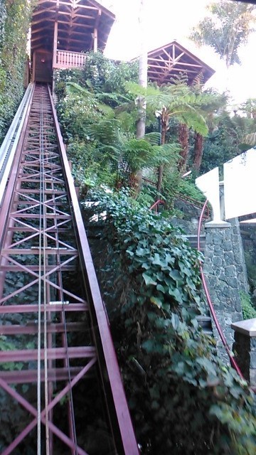 c0355451_11441734.jpg