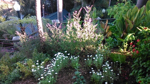 c0355451_11462789.jpg
