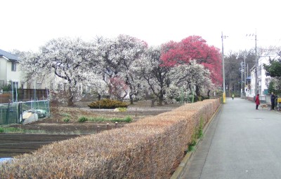 c0112172_1315960.jpg