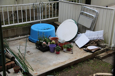 c0152779_1585315.jpg