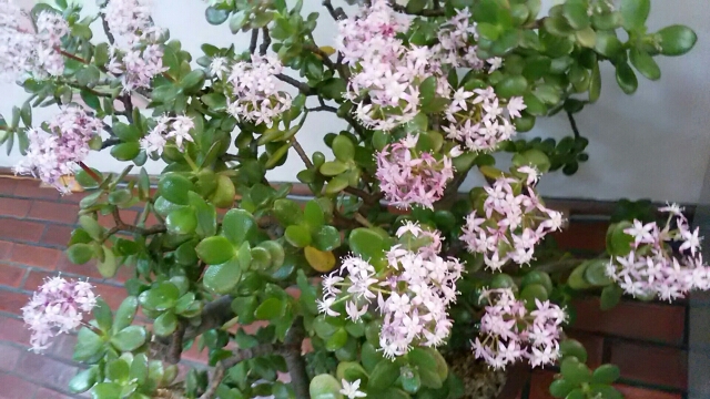 f0231709_17282180.jpg