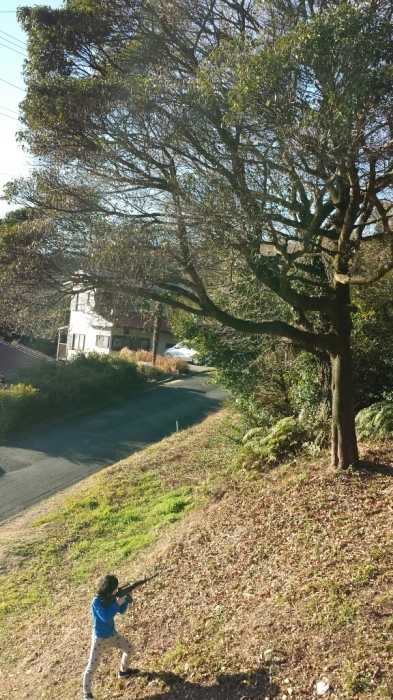 a0194911_08162776.jpg