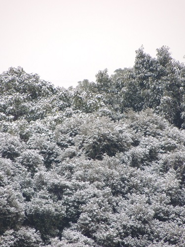 f0150620_895439.jpg