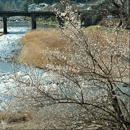 f0078127_18571620.jpg