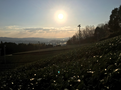 d0014229_21000411.jpg