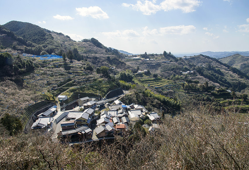 d0147530_09170495.jpg