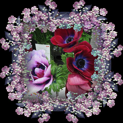 b0133752_073967.png
