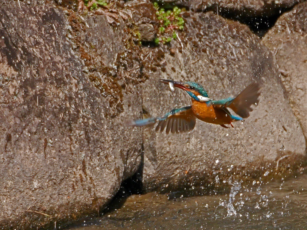 a0330864_20403800.jpg