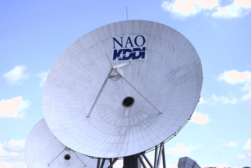 d0061579_8343550.jpg
