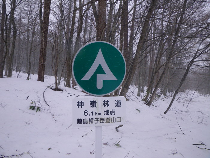f0170180_863816.jpg
