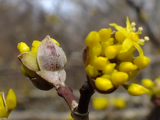 e0145782_1225971.jpg