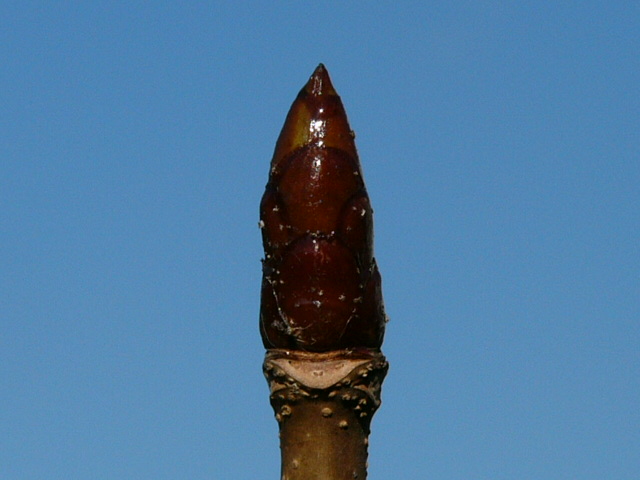 e0145782_12803.jpg