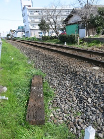 e0130185_1159577.jpg