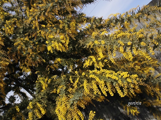 f0202291_10283291.jpg